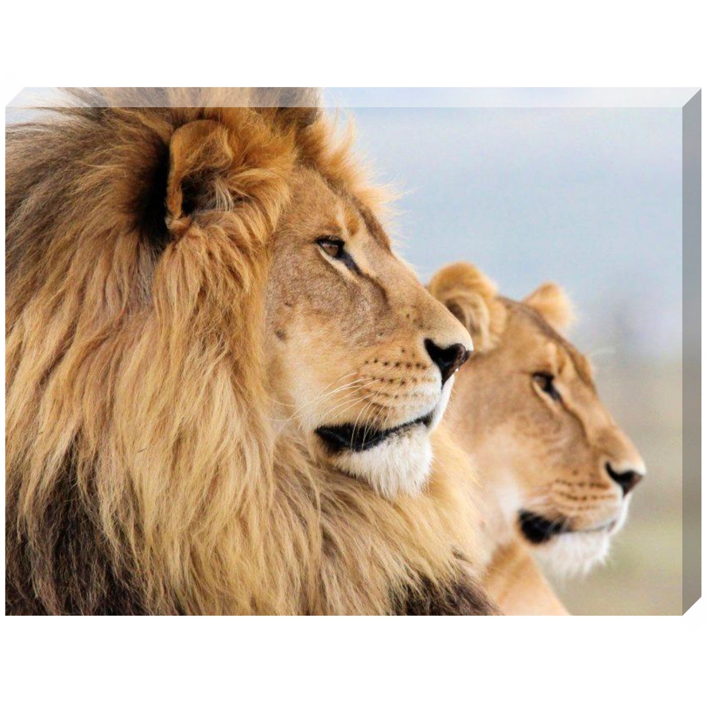 Family bonds canvas print