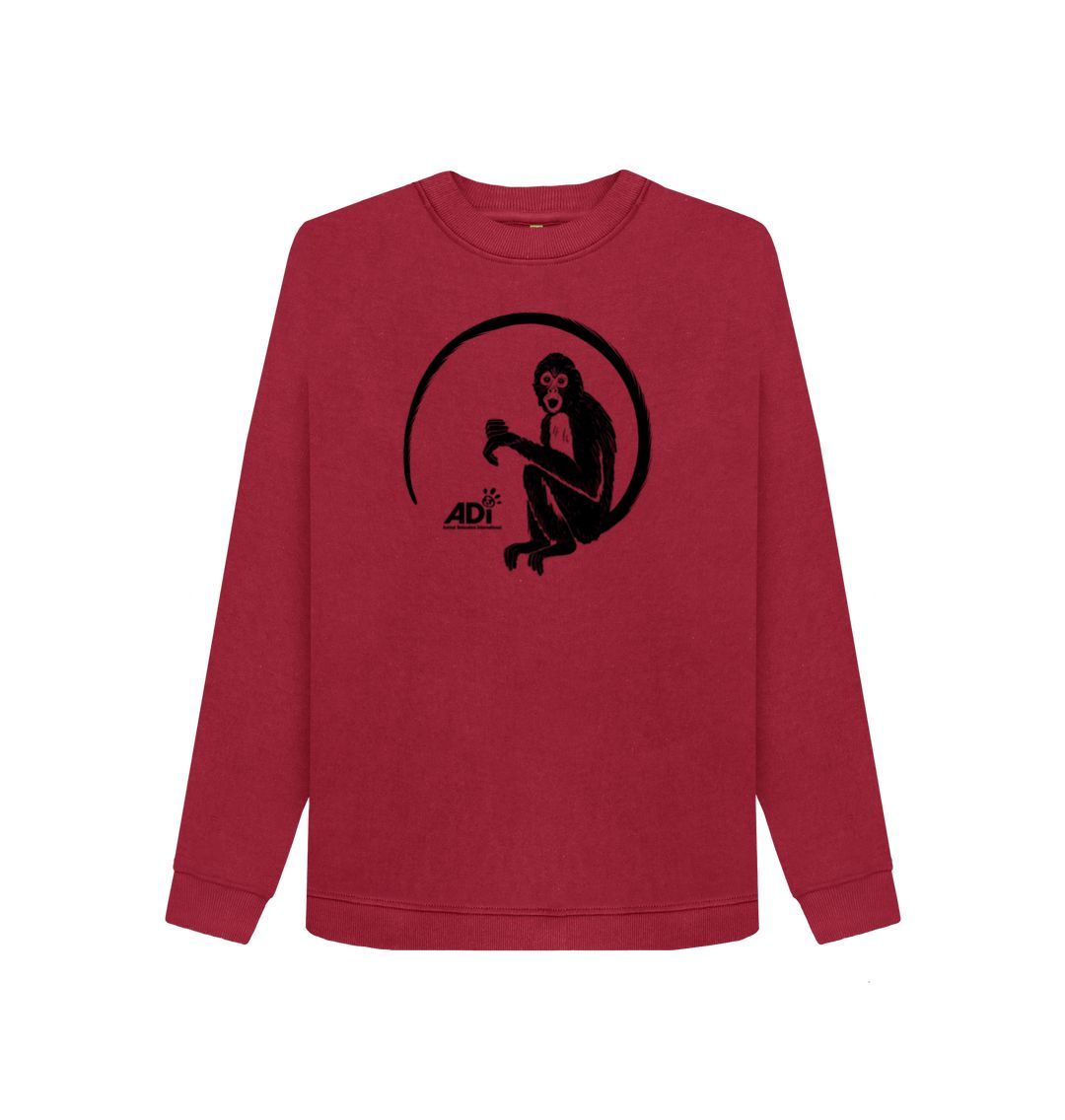 Cherry Spider Monkey Women's Jumper
