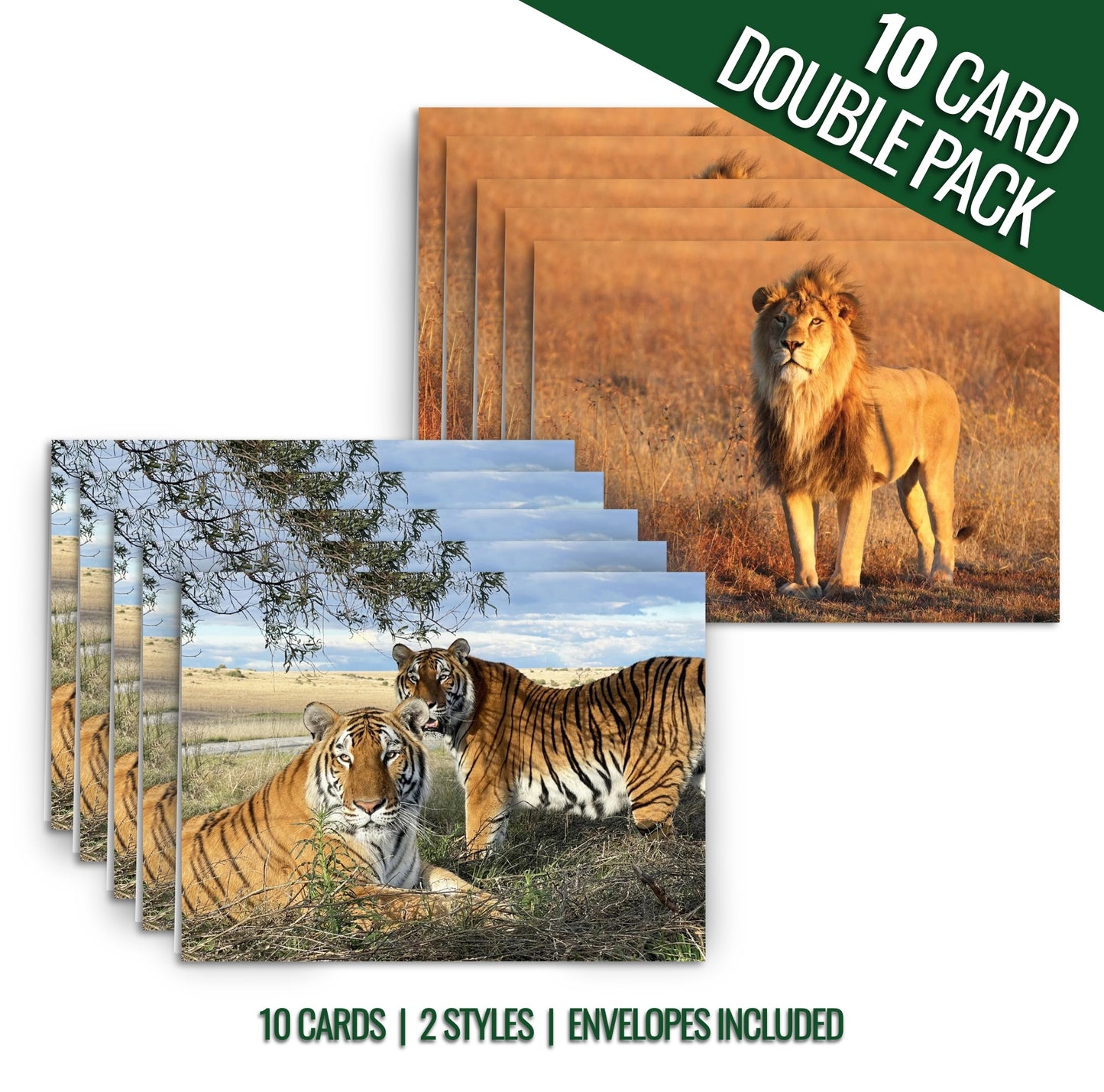 Rescued lion/tiger cards (Scarc/Max & Stripes)