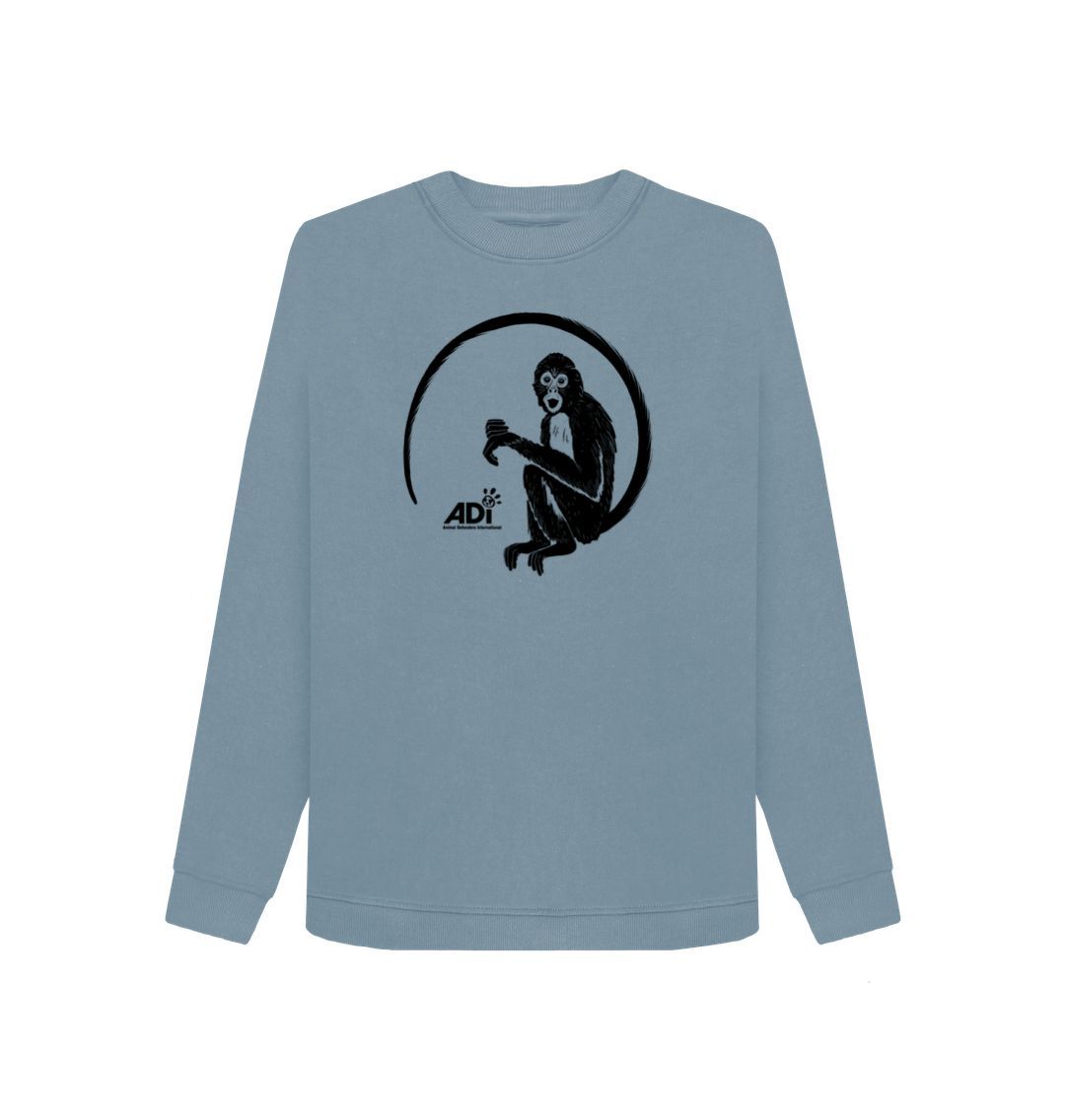 Stone Blue Spider Monkey Women's Jumper