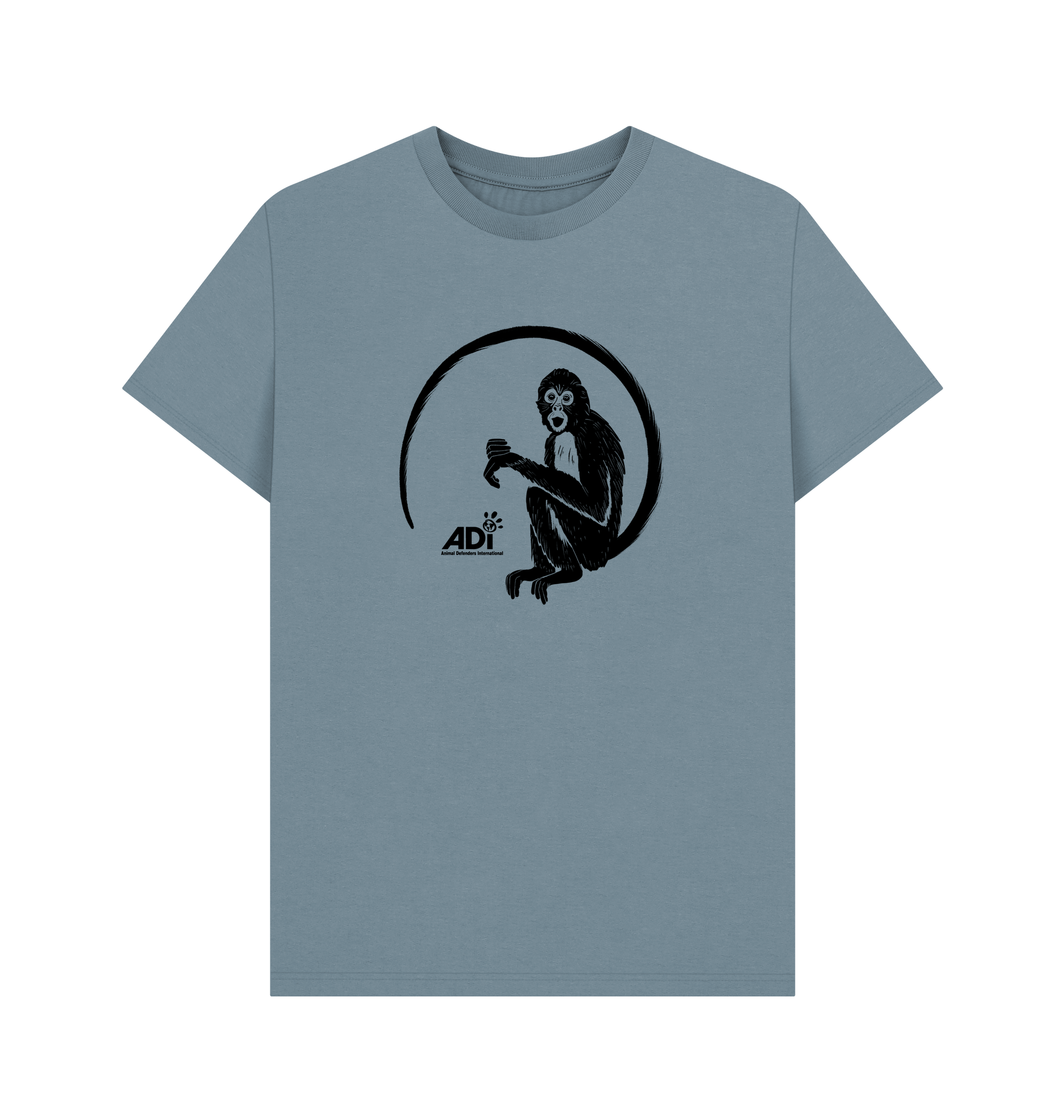 Stone Blue Printed T-shirt Front