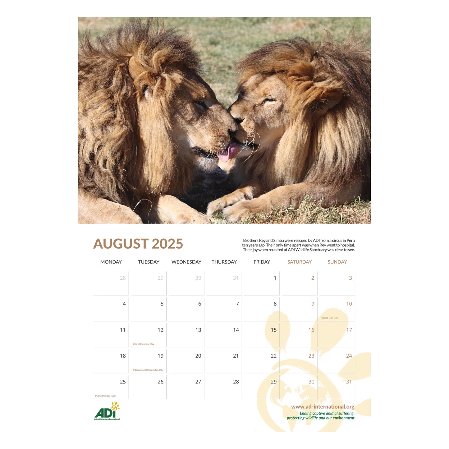 ADI Animal Rescue Calendar 2025