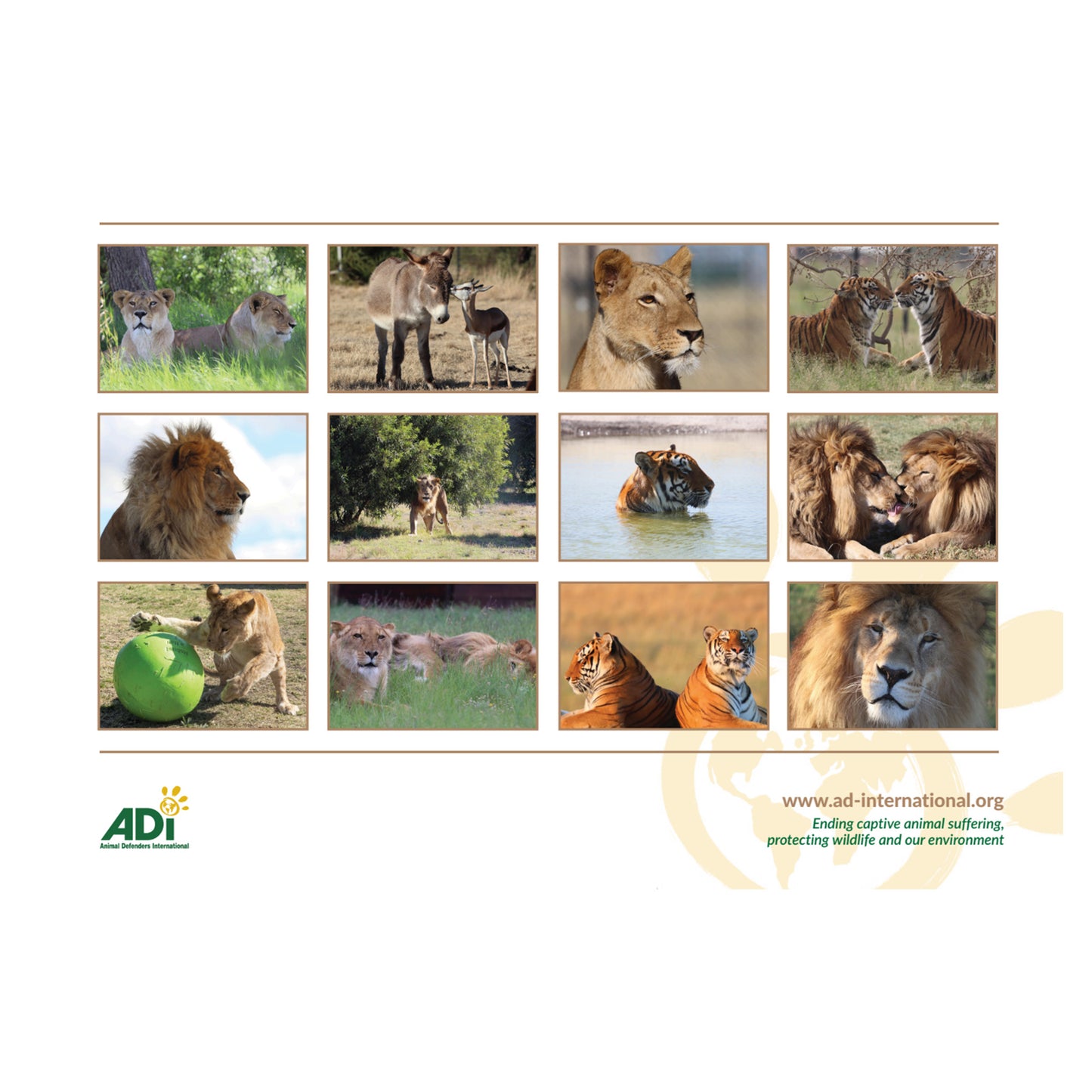 ADI Animal Rescue Calendar 2025