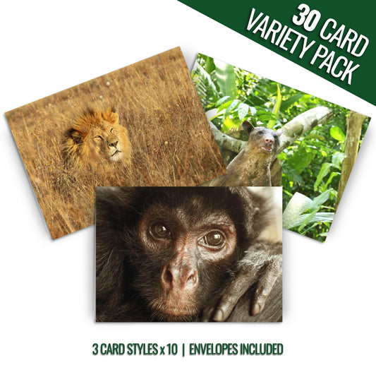 ADI rescued animals card pack