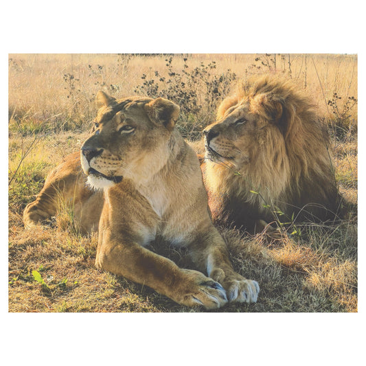 Goliath and Coralie home for Christmas cards