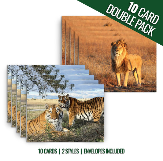 Rescued lion/tiger cards (Scarc/Max & Stripes)