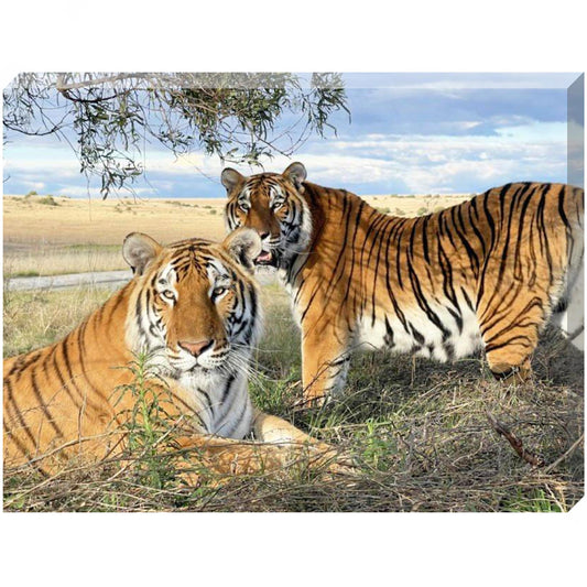 Blood Brothers (Max and Stripes) canvas print